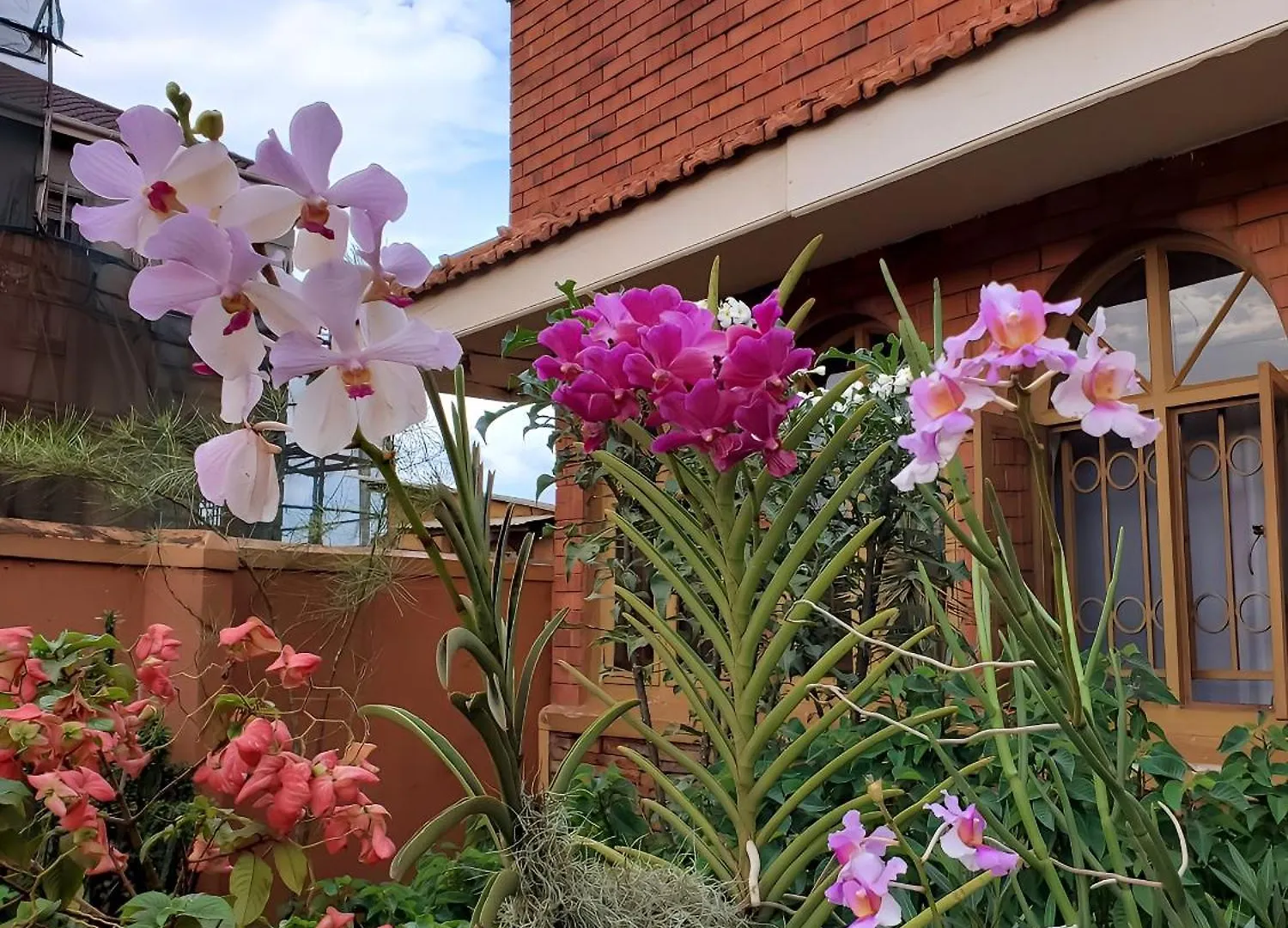Apartment Orchid Gardens; Studio Apartment, Minimalist Kampala Uganda