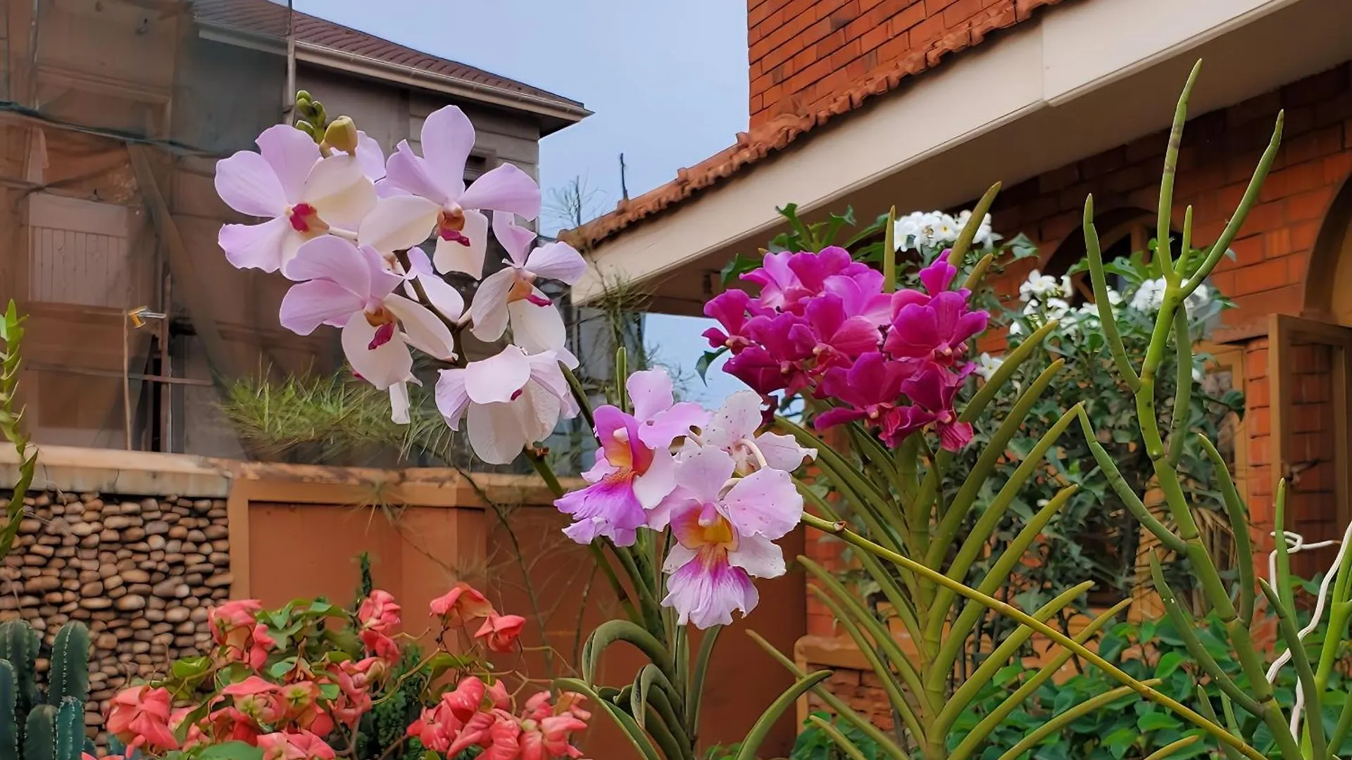 Orchid Gardens; Studio Apartment, Minimalist Kampala