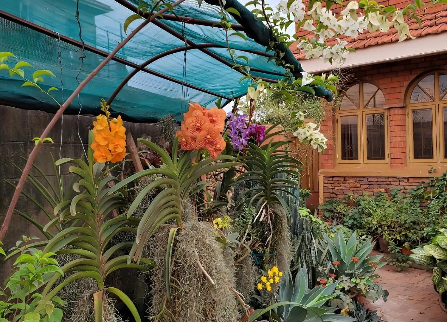 Orchid Gardens; Studio Apartment, Minimalist كامبالا شقة